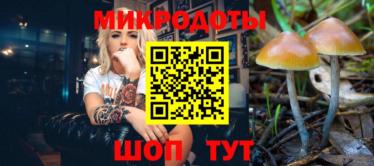 Галлюциногенные грибы мухоморы Верхний Уфалей